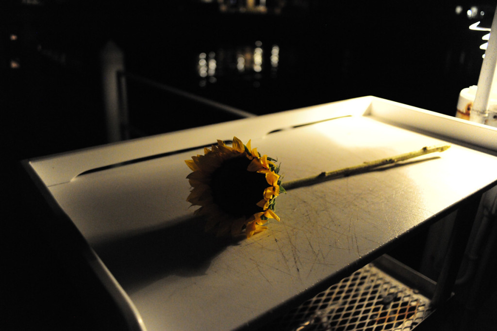 Single Sunflower for Beautiful Nighttime Wedding Proposal | The Majestic Vision Wedding Planning | Palm Beach, FL | www.themajesticvision.com | Emily Allongo Photography