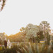 Elegant Wedding Ceremony in the Bailey Palm Glade at Fairchild Tropical Garden in Coral Gables, FL thumbnail