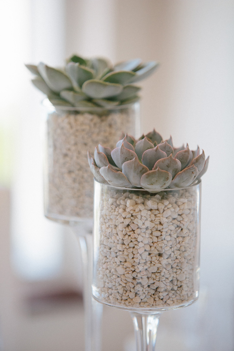Modern Centerpieces with Succulents | The Majestic Vision Wedding Planning | Marriott Singer Island in Palm Beach, FL | www.themajesticvision.com | Robert Madrid Photography