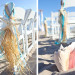 Elegant Starfish and Conch Shell Aisle Markers for Beach Ceremony at Palm Beach Shore in Palm Beach, FL thumbnail