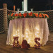 Elegant and Rustic Orange and Yellow Sweetheart Table at Palm Beach Zoo in Palm Beach, FL thumbnail