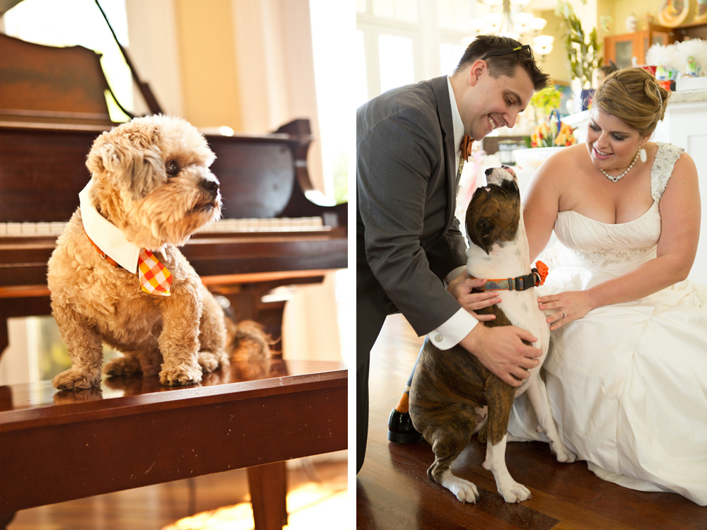 Dog as Bridal Party Member | The Majestic Vision Wedding Planning | Palm Beach Zoo in Palm Beach, FL | www.themajesticvision.com | Robert Madrid Photography