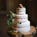 Elegant Naked Wedding Cake at Rustic Manor in Milwaukee, WI thumbnail