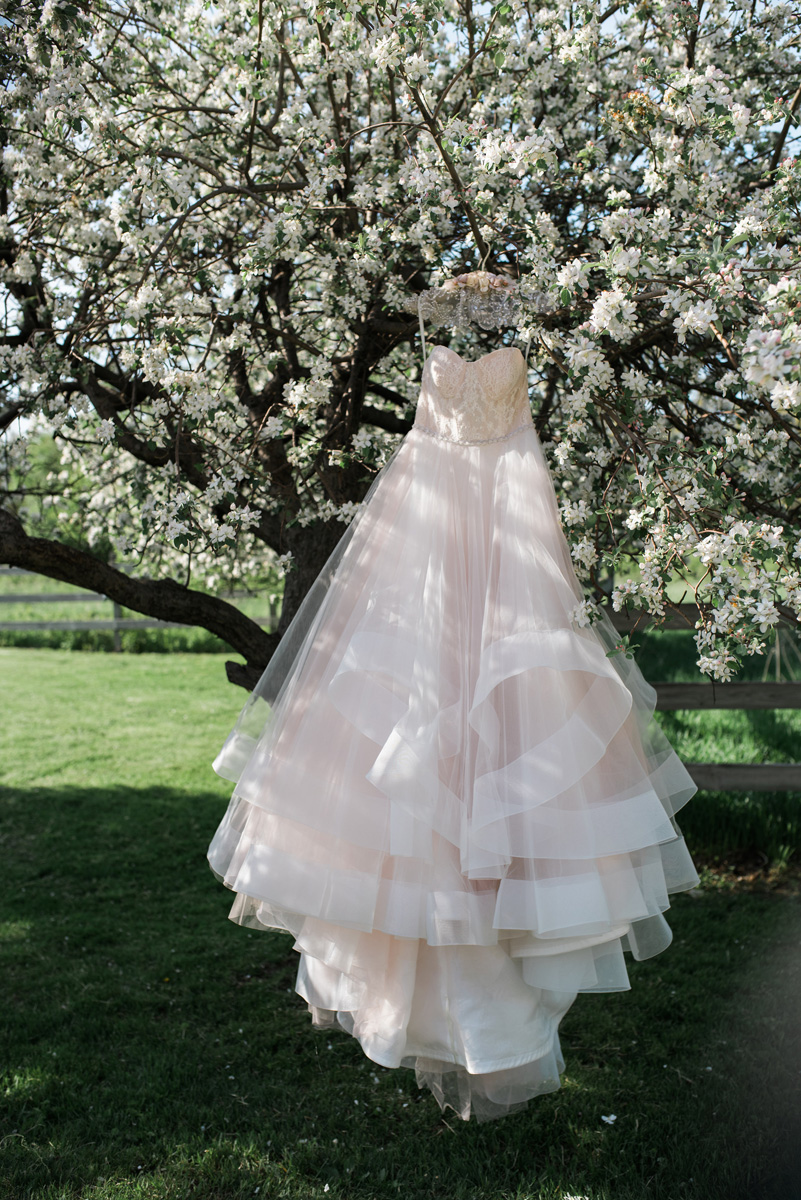 Stunning Blush Tara Keely Wedding Gown | The Majestic Vision Wedding Planning | Rustic Manor in Milwaukee, WI | www.themajesticvision.com | Elizabeth Haase Photography
